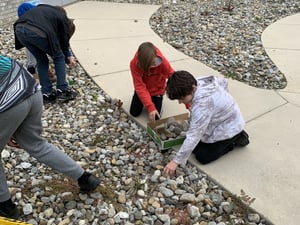 5th Grade working to remove rocks from the rock garden